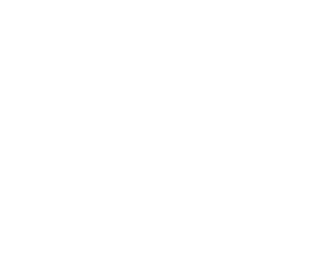 The Voice Box